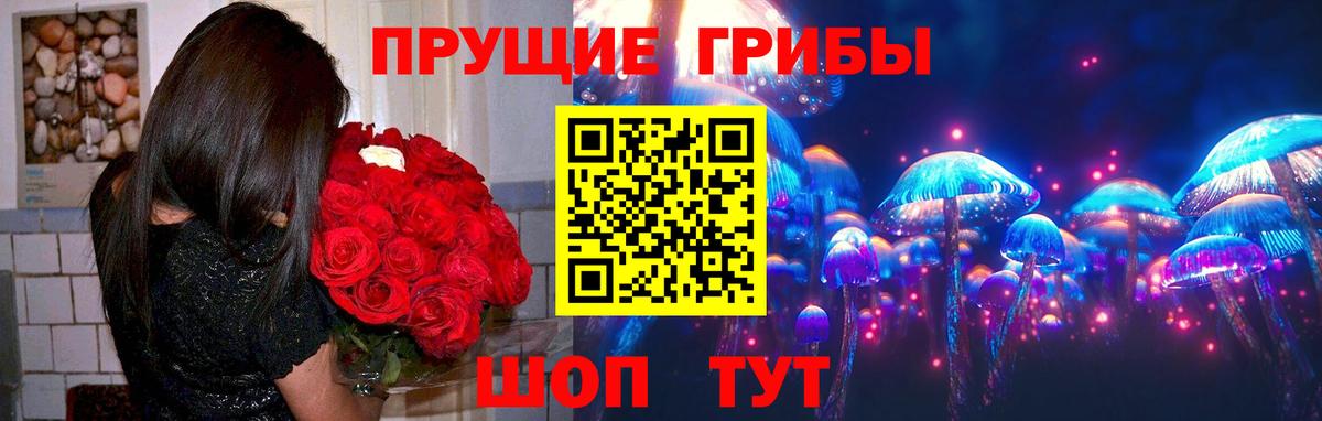 Псилоцибиновые грибы прущие грибы  Вход с VPN  Городец 