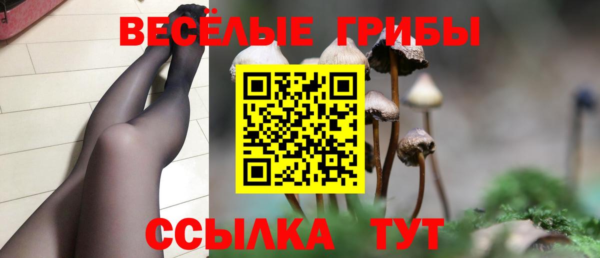 Меф кристаллы  ГАШИШ  Городец  NBOMe  Вход с VPN  Cocaine 